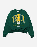ALUMNI BOXY OVERSIZED CREWNECK SWEATSHIRT